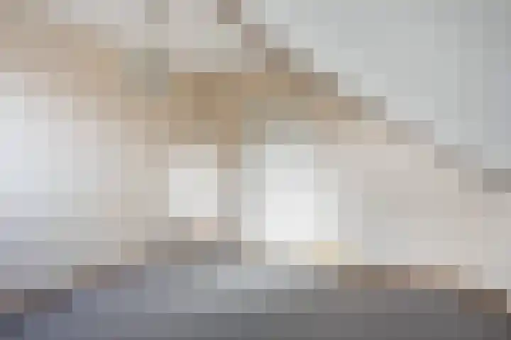van Reestraat 4 Wilsum thumbnail 27