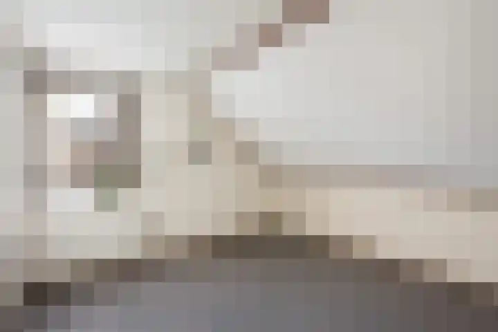 van Reestraat 4 Wilsum thumbnail 28