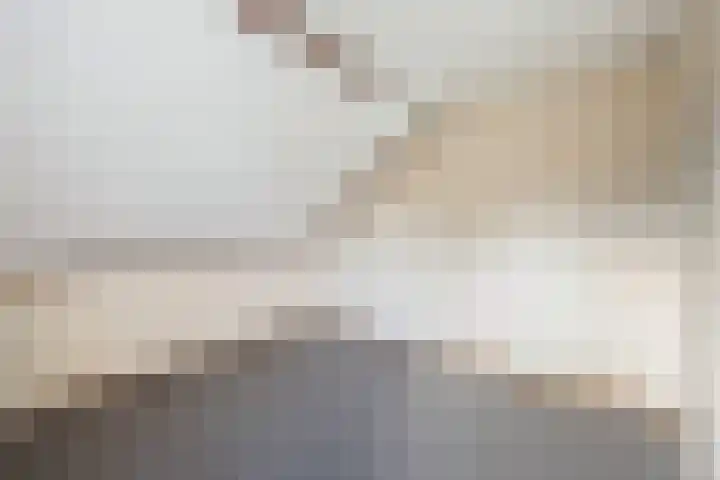 van Reestraat 4 Wilsum thumbnail 29