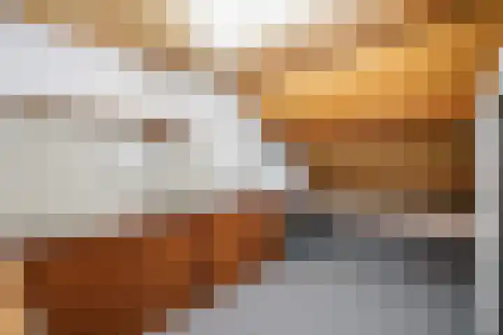 van Reestraat 4 Wilsum thumbnail 30