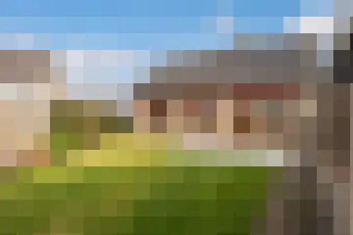 van Reestraat 4 Wilsum thumbnail 32