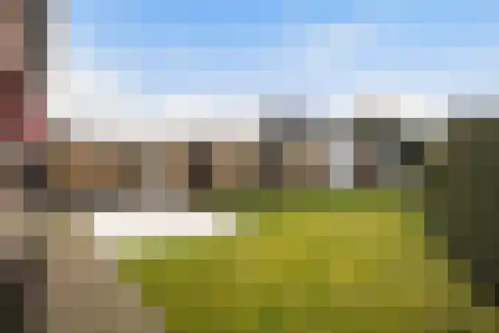 van Reestraat 4 Wilsum thumbnail 33