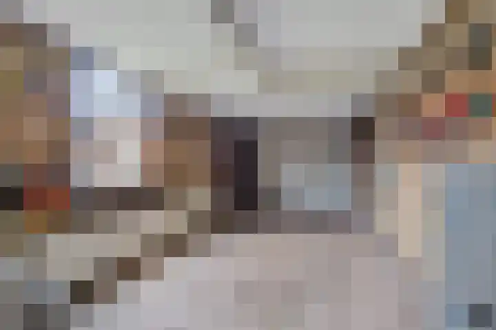 van Reestraat 4 Wilsum thumbnail 35