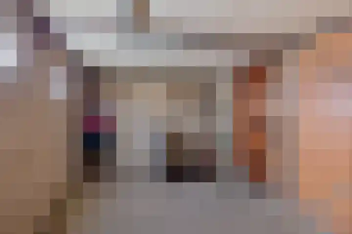 van Reestraat 4 Wilsum thumbnail 36