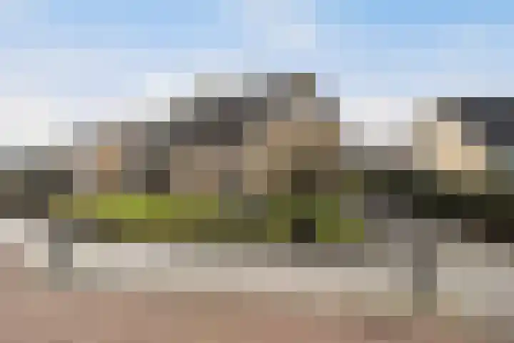 van Reestraat 4 Wilsum thumbnail 39