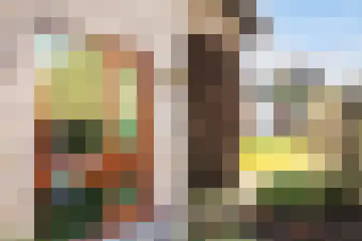 van Reestraat 4 Wilsum thumbnail 4