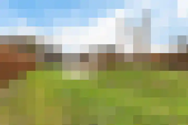van Reestraat 4 Wilsum thumbnail 40