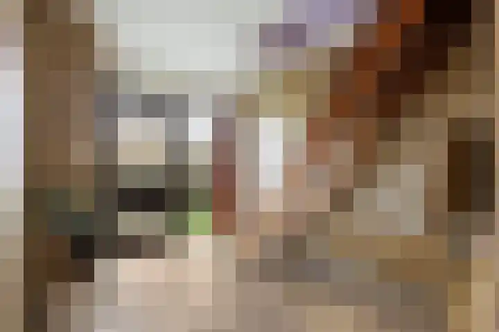 van Reestraat 4 Wilsum thumbnail 5