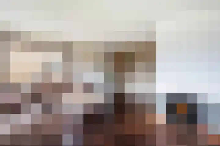 van Reestraat 4 Wilsum thumbnail 7