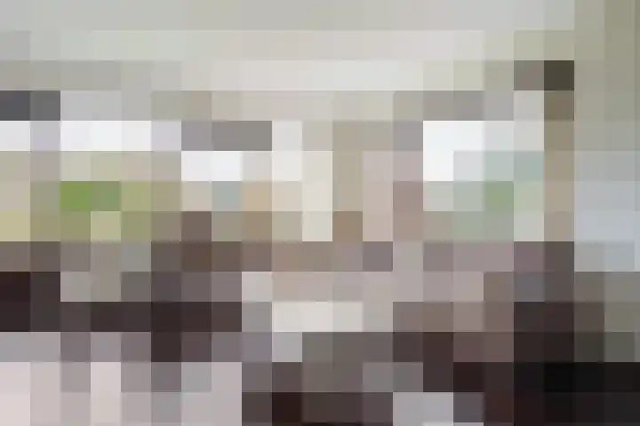 van Reestraat 4 Wilsum thumbnail 8
