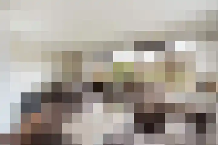 van Reestraat 4 Wilsum thumbnail 9