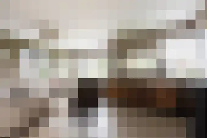 Van Regteren Altenastraat 18 Ede thumbnail 12