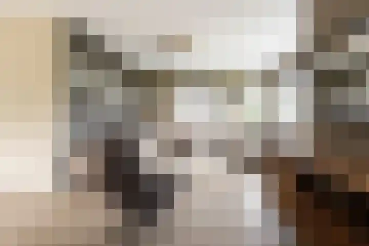 Van Regteren Altenastraat 18 Ede thumbnail 13