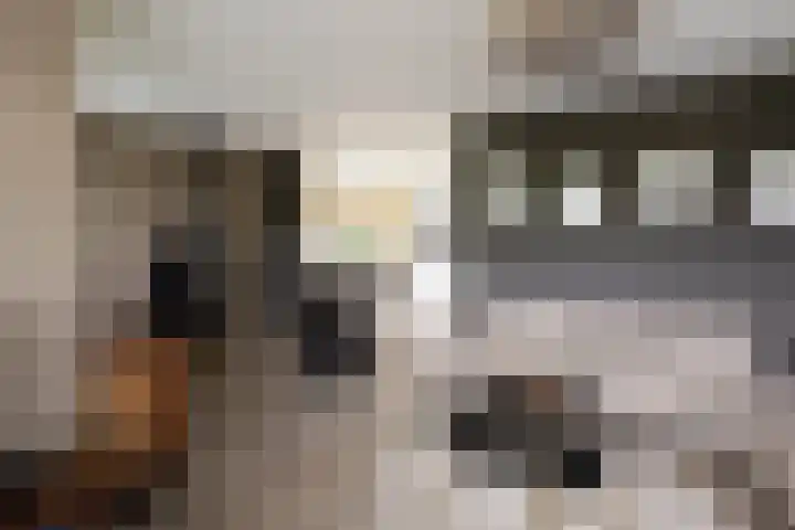 Van Regteren Altenastraat 18 Ede thumbnail 15