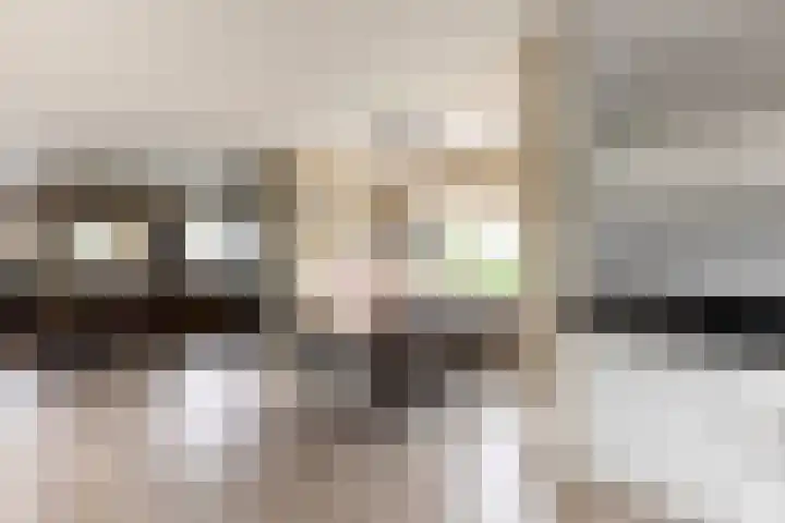 Van Regteren Altenastraat 18 Ede thumbnail 17