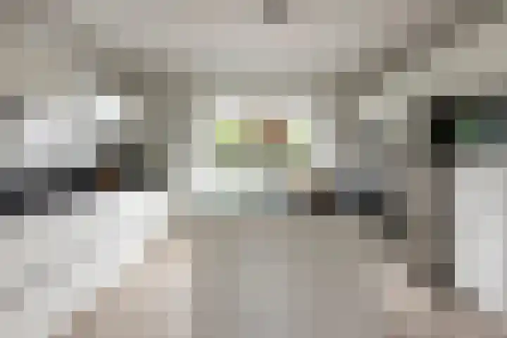 Van Regteren Altenastraat 18 Ede thumbnail 18