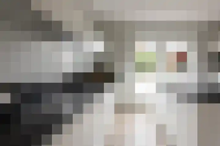 Van Regteren Altenastraat 18 Ede thumbnail 20