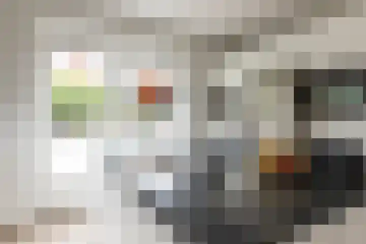 Van Regteren Altenastraat 18 Ede thumbnail 21