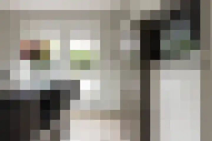 Van Regteren Altenastraat 18 Ede thumbnail 24