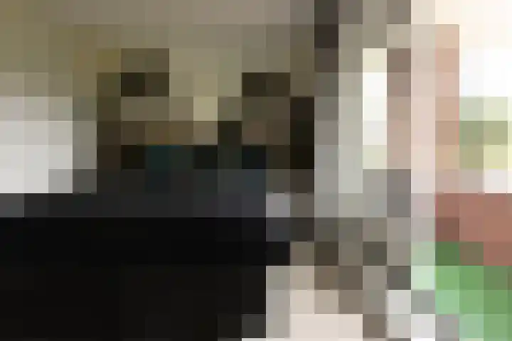 Van Regteren Altenastraat 18 Ede thumbnail 35
