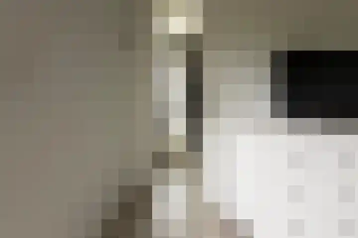 Van Regteren Altenastraat 18 Ede thumbnail 37