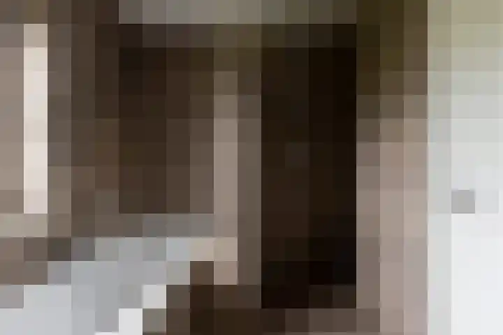 Van Regteren Altenastraat 18 Ede thumbnail 41