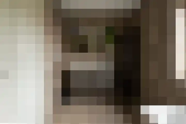 Van Regteren Altenastraat 18 Ede thumbnail 42