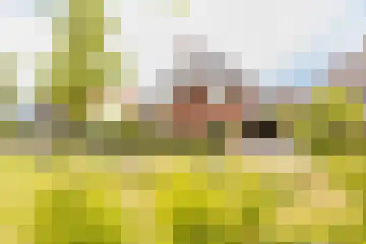 Van Regteren Altenastraat 18 Ede thumbnail 5