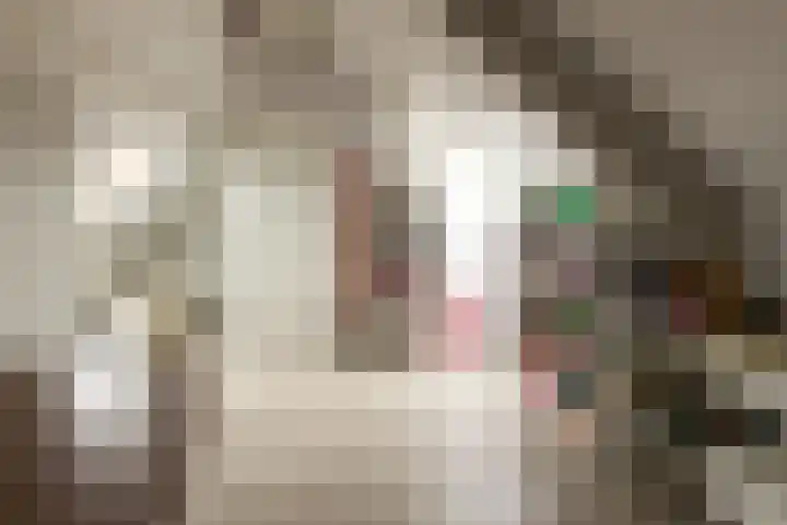 Van Regteren Altenastraat 18 Ede thumbnail 50