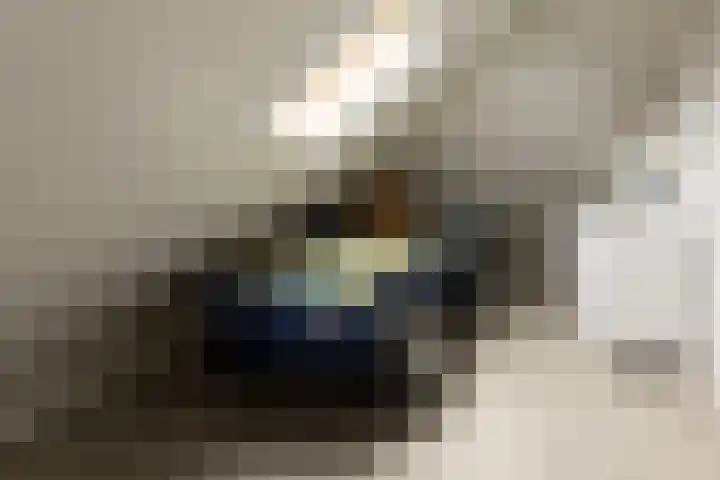 Van Regteren Altenastraat 18 Ede thumbnail 51