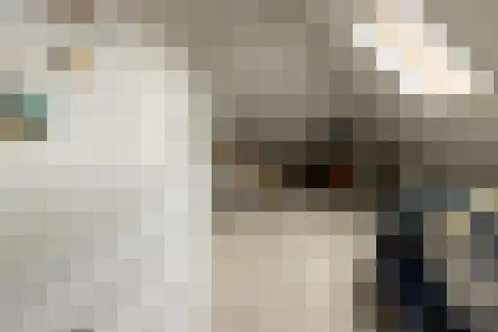 Van Regteren Altenastraat 18 Ede thumbnail 52
