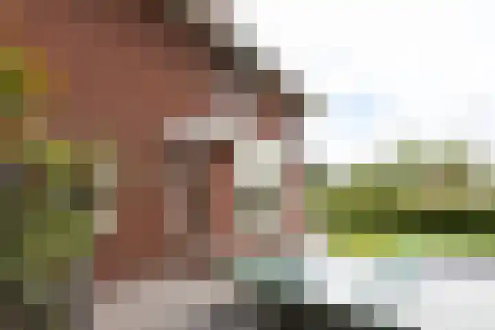 Van Regteren Altenastraat 18 Ede thumbnail 54