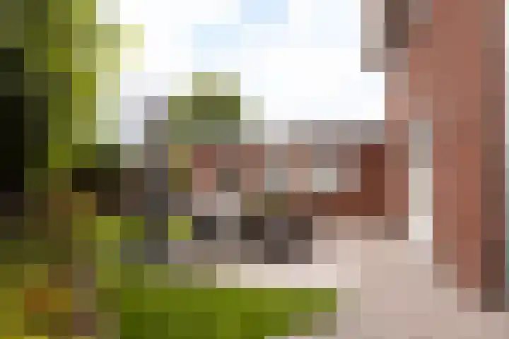 Van Regteren Altenastraat 18 Ede thumbnail 56