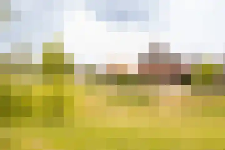 Van Regteren Altenastraat 18 Ede thumbnail 6