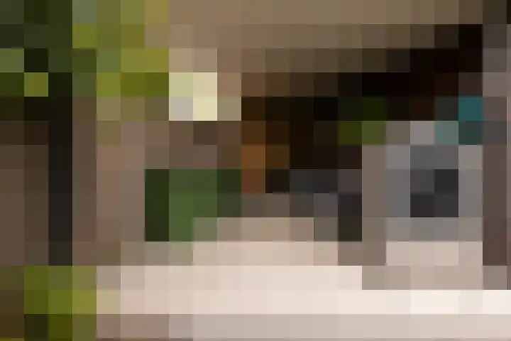 Van Regteren Altenastraat 18 Ede thumbnail 60
