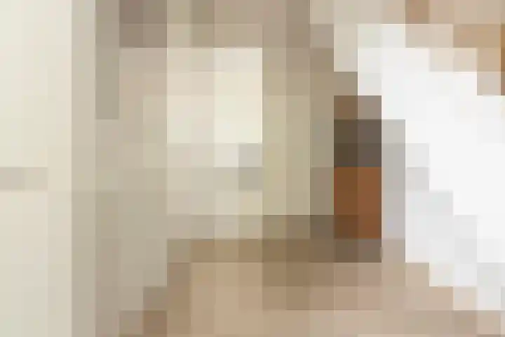Van Regteren Altenastraat 18 Ede thumbnail 8