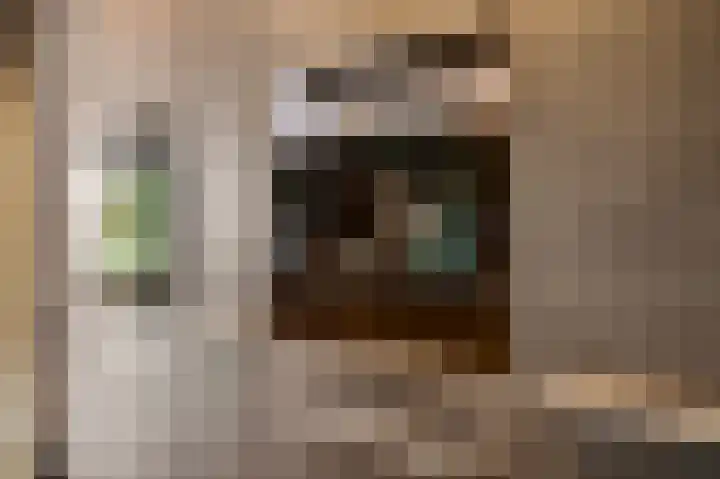 Van Reiffenburgstraat 3 Sevenum thumbnail 22