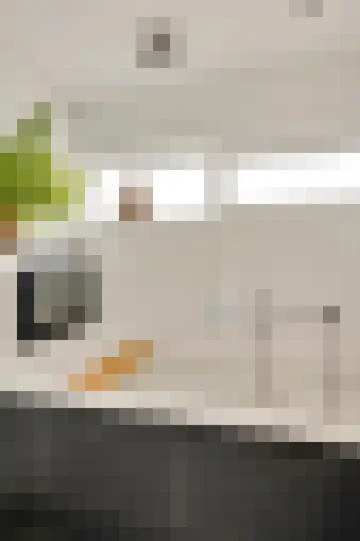Van Reiffenburgstraat 3 Sevenum thumbnail 33