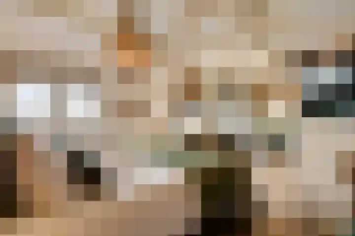 Van Reiffenburgstraat 3 Sevenum thumbnail 37