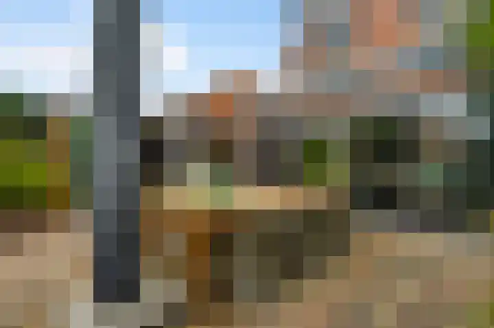 Van Reiffenburgstraat 3 Sevenum thumbnail 40