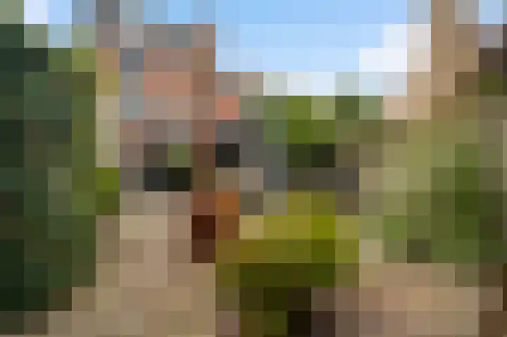 Van Reiffenburgstraat 3 Sevenum thumbnail 41