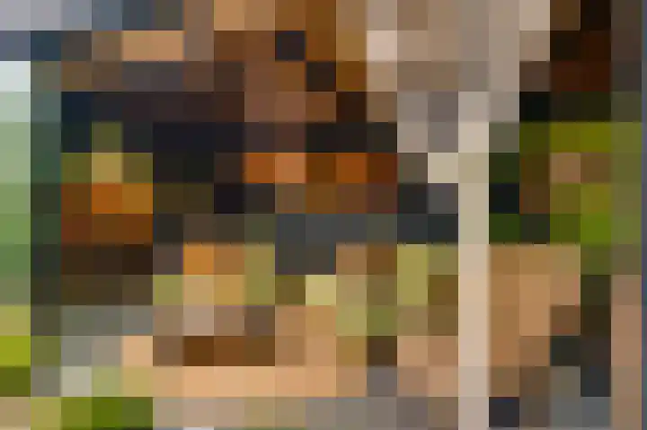 Van Reiffenburgstraat 3 Sevenum thumbnail 42