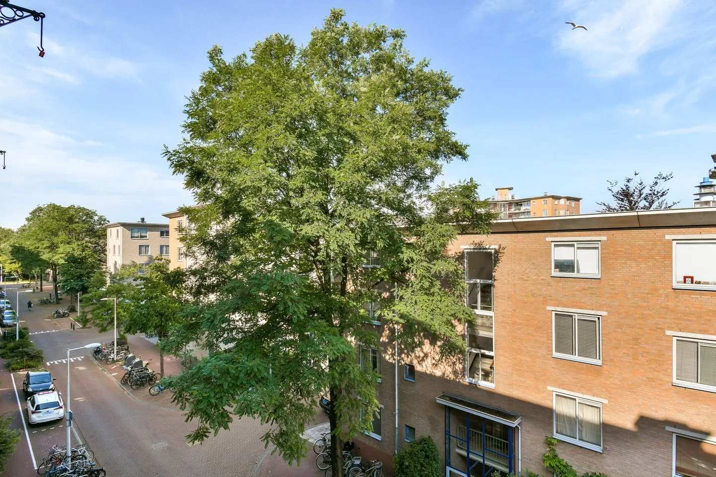 Van Reigersbergenstraat 45 3 Amsterdam thumbnail 14