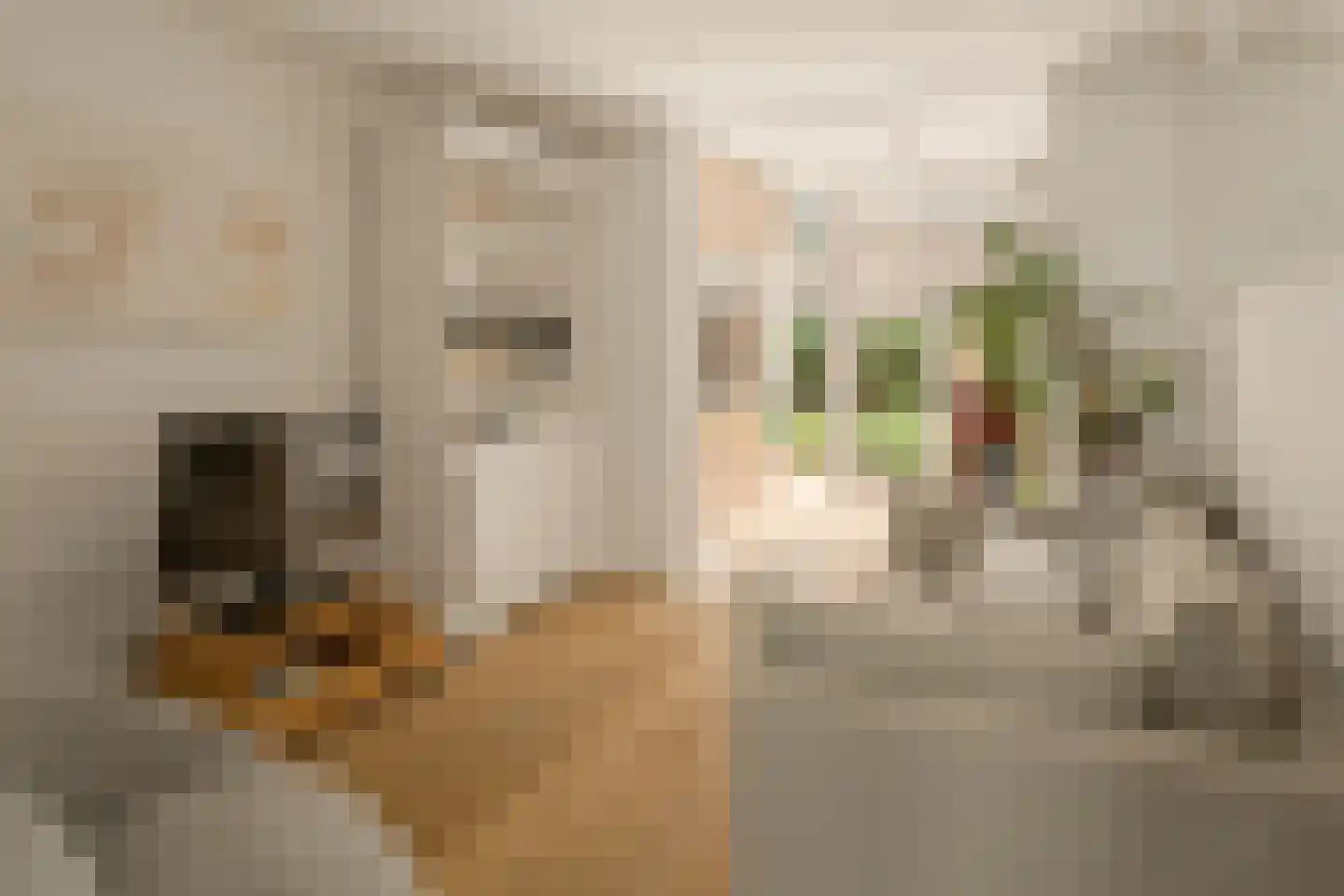 Van Reigersbergenstraat 55 H Amsterdam thumbnail 5