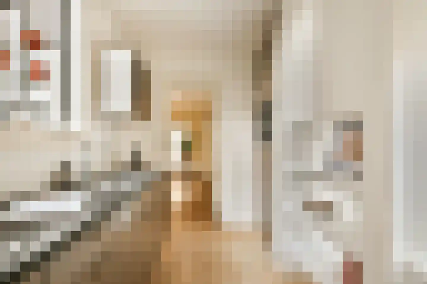 Van Reigersbergenstraat 57 1 Amsterdam thumbnail 9