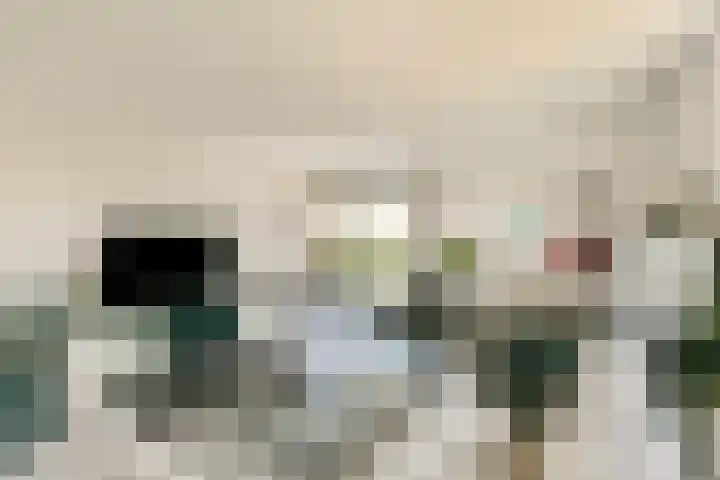 Van Reigersbergenstraat 666 Amsterdam thumbnail 4