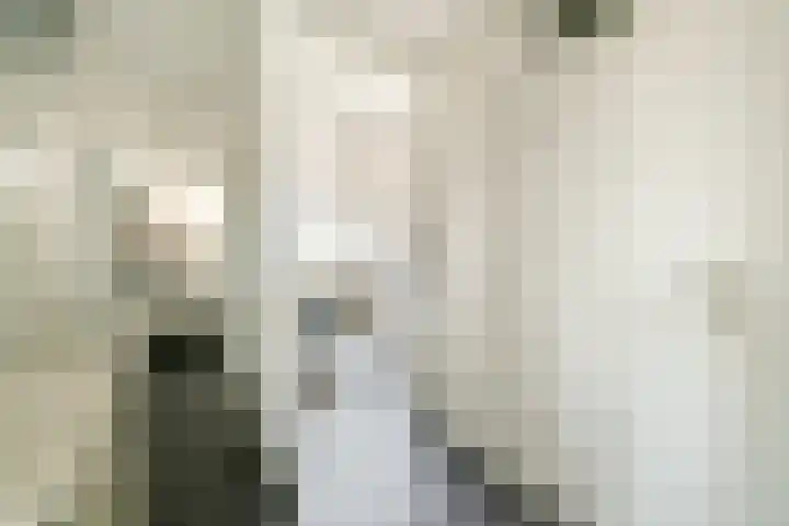 Van Reigersbergenstraat 666 Amsterdam thumbnail 8