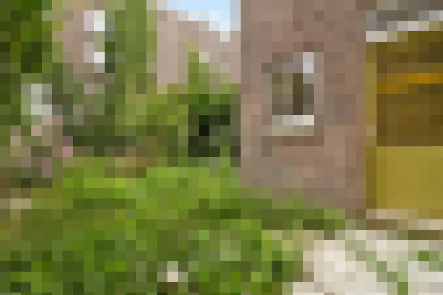 Van Reigersbergenstraat 71 H Amsterdam thumbnail 12
