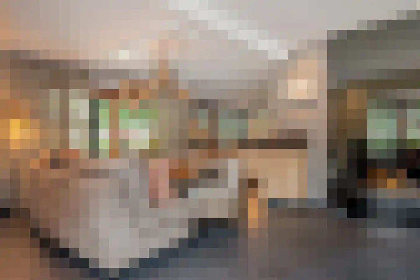 Van Remagenlaan 1 Arnhem thumbnail 12