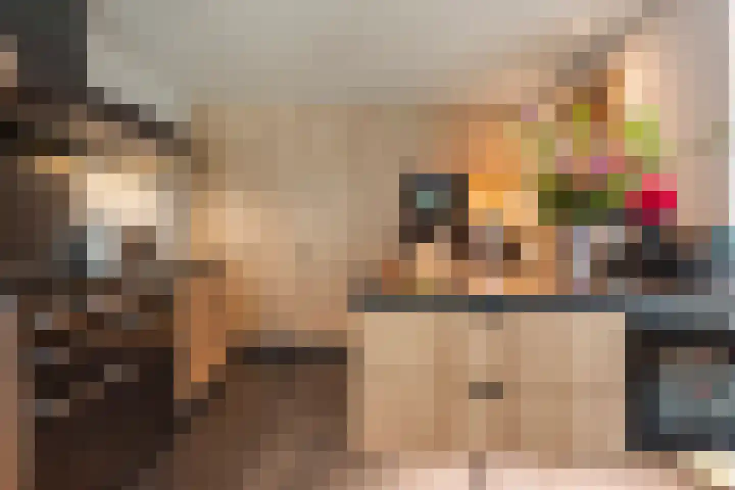 Van Remagenlaan 1 Arnhem thumbnail 14